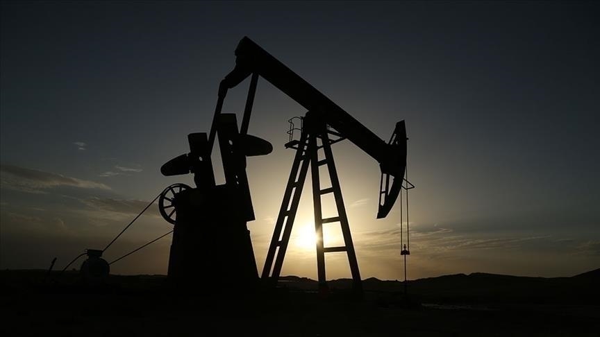TPAO'nun Diyarbakır'daki Petrol Arama Ruhsatında Hak İptali